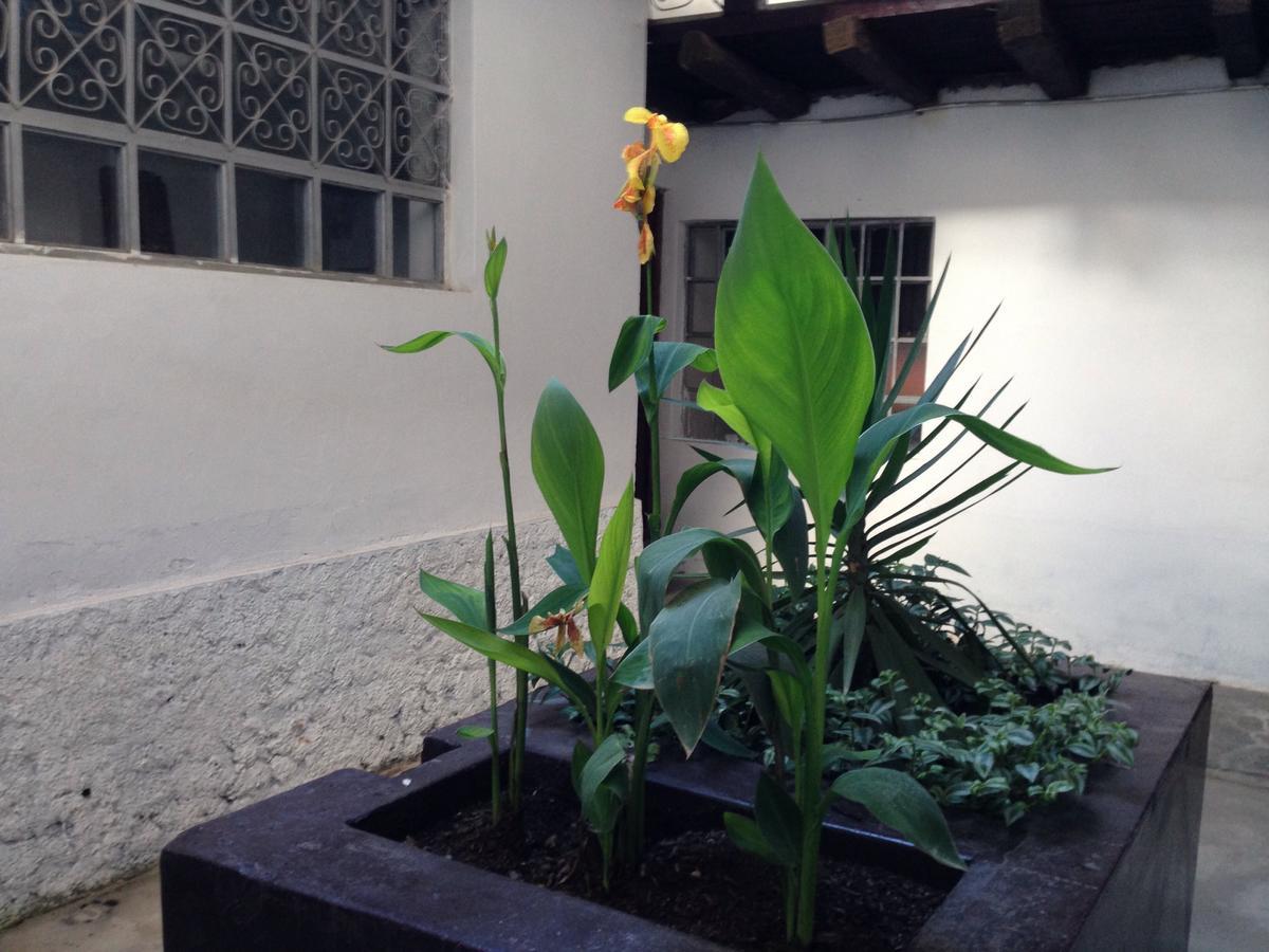 Hostel Chacha International Chachapoyas Exterior foto